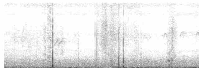 סנונית רפתות - ML619171660
