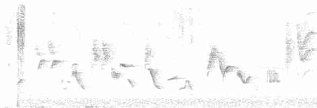 Gartengrasmücke - ML619171897