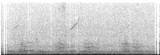 Clamorous Reed Warbler - ML619172014