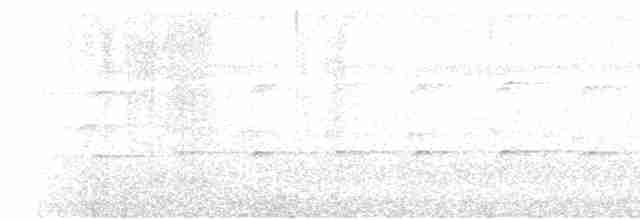 Kızıl Karınlı Atmaca Kartalı - ML619172128
