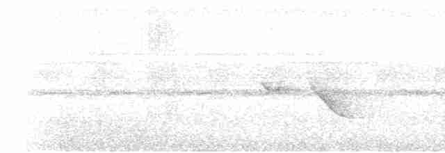Светлогрудая тимелия-говорушка - ML619172155