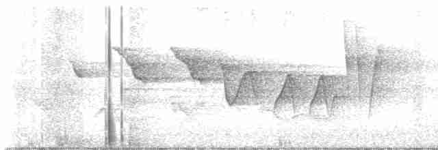 Louisiana Waterthrush - ML619172199