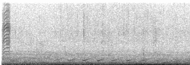 白胸燕鵙 - ML619172258