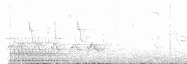 Great Spotted Woodpecker - ML619172265