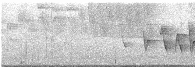 Очковая хвойница - ML619172266