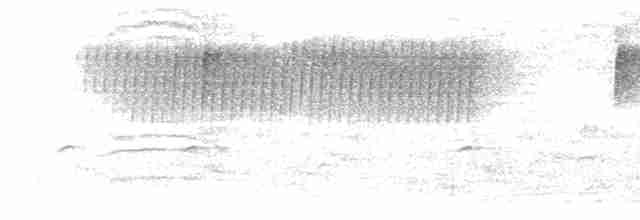 Paruline vermivore - ML619172385