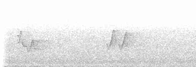 Трясогузковый певун - ML619172572
