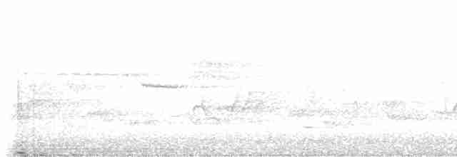 Paruline à capuchon - ML619172576