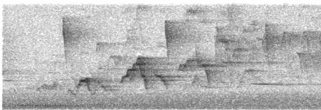 オリーブチャツグミ - ML619172593