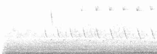 lesňáček černohlavý - ML619172977