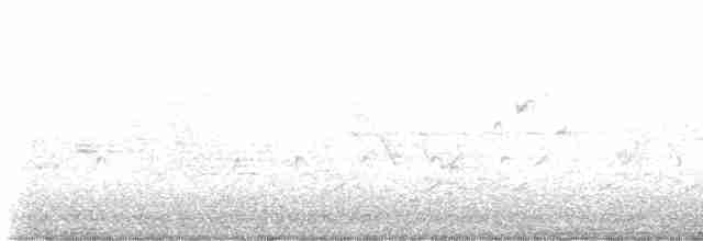 Bruant à couronne blanche - ML619172991