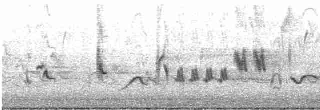 Oriole des vergers - ML619173092