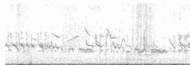 kortnebbekkasinsnipe - ML619173099