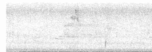 svarthetteparula - ML619173130