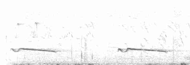 Gray-bellied Cuckoo - ML619173249
