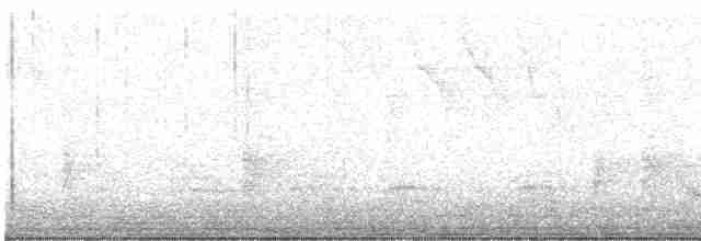 Weißbrustkleiber (carolinensis) - ML619173338