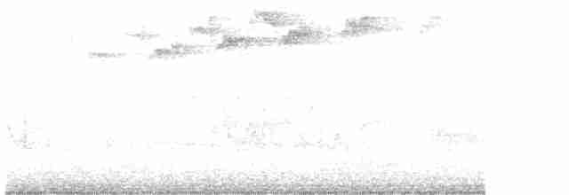 Paruline à gorge orangée - ML619173354