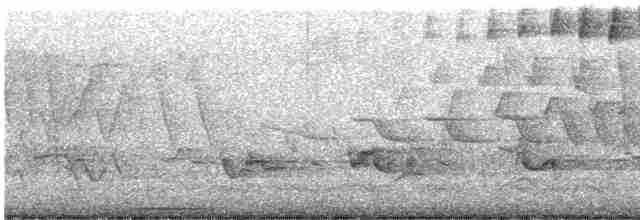 lesňáček černohlavý - ML619173356