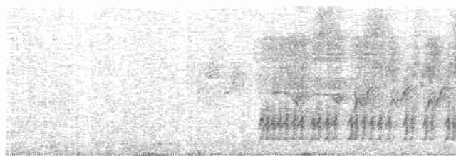 drozd brávník - ML619173499