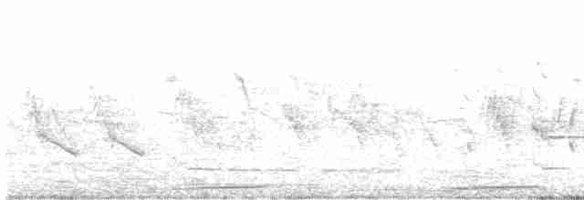 Воробьиная земляная горлица - ML619173633