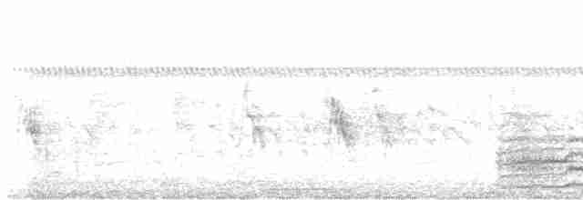 holoubek vrabčí - ML619173634