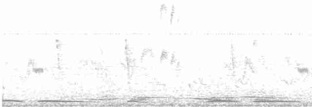 Тиран темноголовий - ML619173698