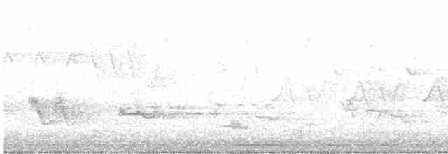 Красноплечий канюк - ML619173714
