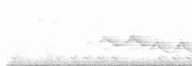 Black-billed Cuckoo - ML619173788
