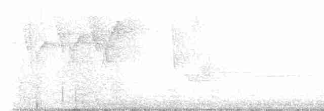 Hooded Warbler - ML619173798