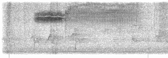 Голубокрылая червеедка - ML619173816