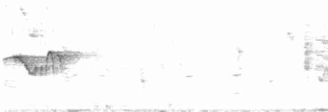 Светлобрюхий фиби - ML619173955