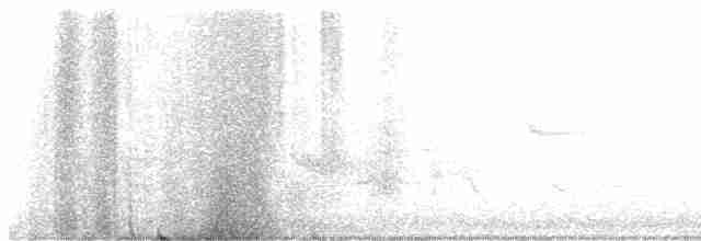 Голубокрылая червеедка - ML619174323