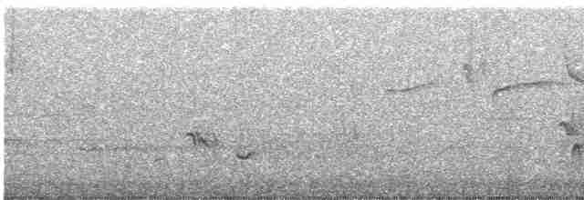 Cassin's Vireo - ML619174406