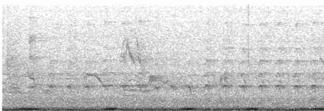 Pasifik Göknar Tavuğu - ML619174418