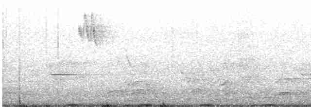 Tétras fuligineux - ML619174420