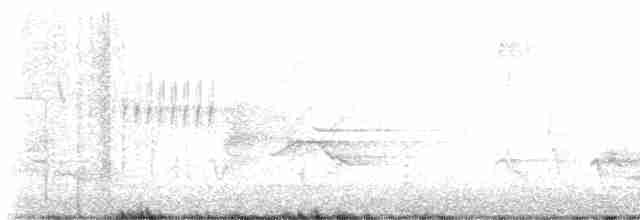 drozdec černohlavý - ML619174568