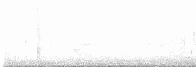 Чечевиця кармінова (підвид purpureus) - ML619174575