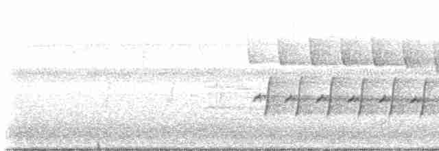 Каролинский крапивник - ML619174881