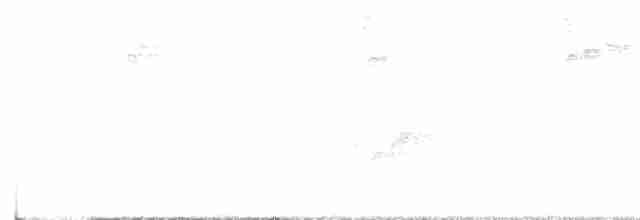 Paruline noir et blanc - ML619175078
