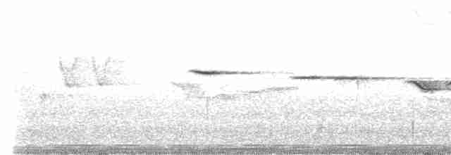 İri Gagalı Çıvgın - ML619175261