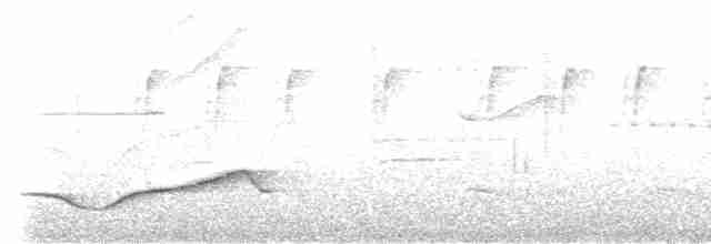 Garrulaxe élégant - ML619175343
