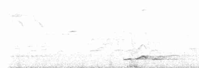 Pomatorhin à col roux - ML619175350