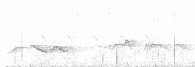Сычуаньская кустарница - ML619175378
