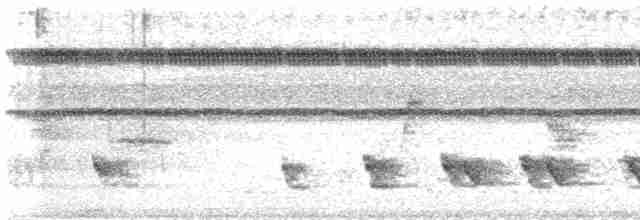 Pin-striped Tit-Babbler - ML619175527