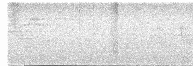 Дрізд-короткодзьоб плямистоволий - ML619175640