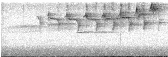 Paruline à gorge orangée - ML619175652