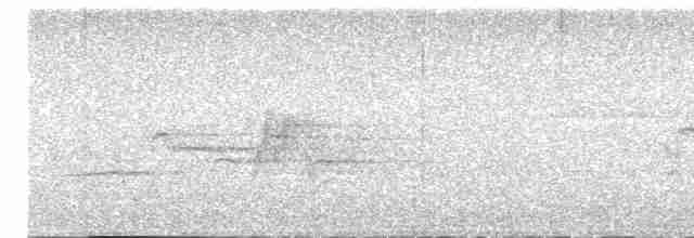 Дрізд-короткодзьоб плямистоволий - ML619175679