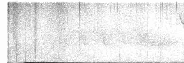 Cerulean Warbler - ML619175734