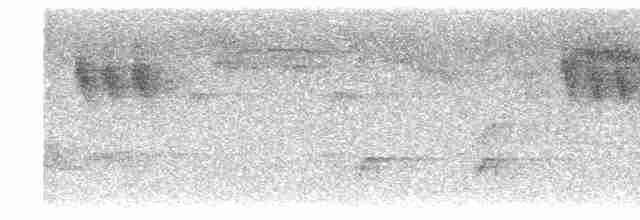 Gray Wagtail - ML619175770
