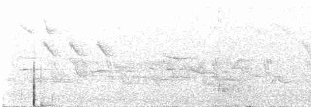 Шишкар ялиновий (підвид corsicana) - ML619175871